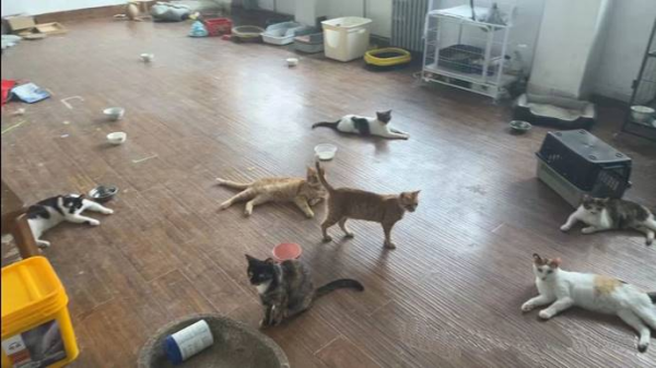 2024042316502377.png 洛陽(yáng)朗威3.png