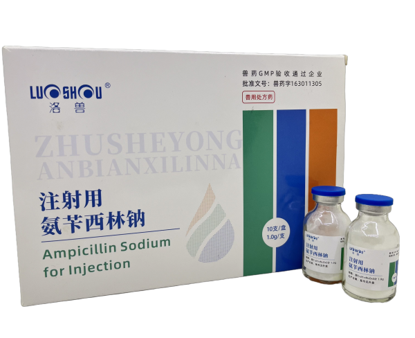 注射用氨芐西林鈉